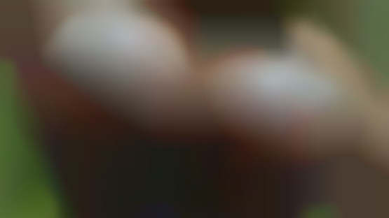 And sex horny is want all about love in Beckley.
